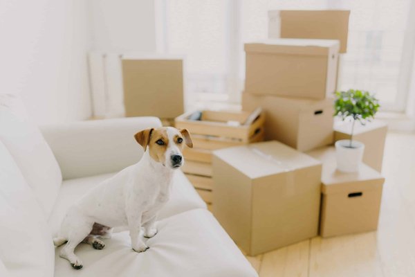 Pantoufle chaussette antidérapante pour homme : Les grandes tendances pour l'hiver !