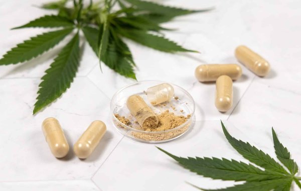 Où acheter des gélules au chanvre ?